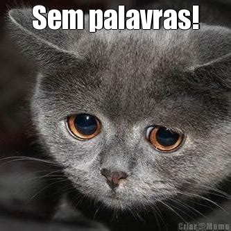 Sem Palavras .